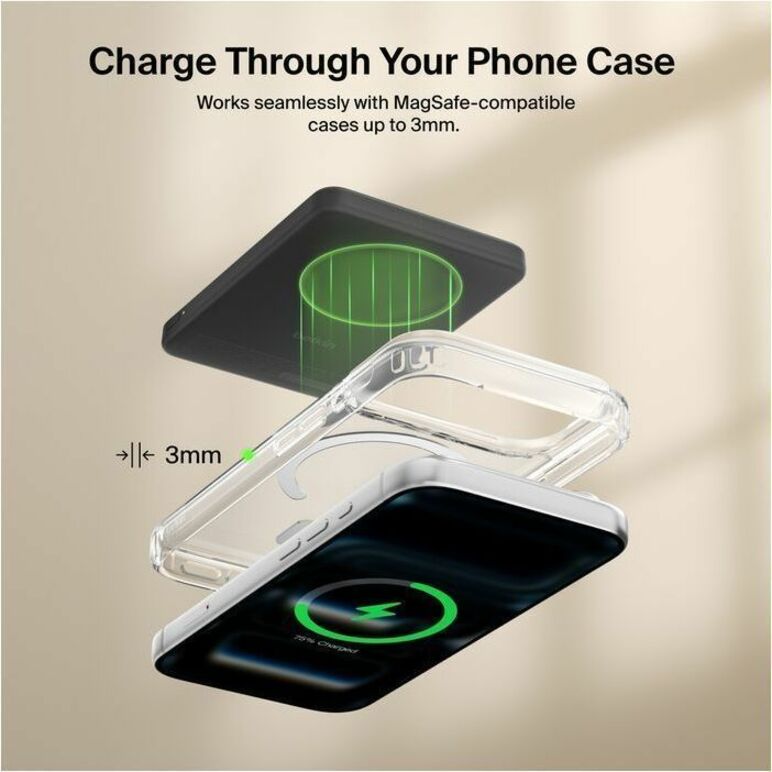 Belkin Boostcharge Pro 5000mAh Power Bank - BPD011fqBK